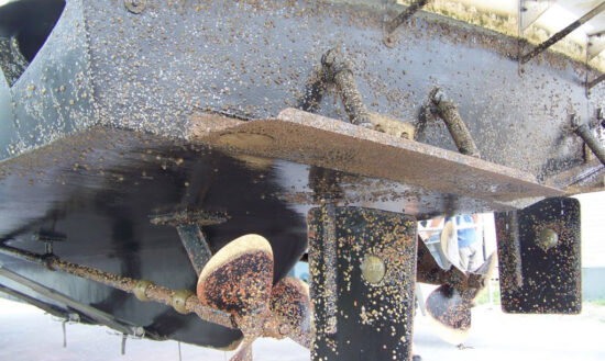 Do I Need Bottom Paint on My Boat? Do I Need Bottom Paint on My Boat?