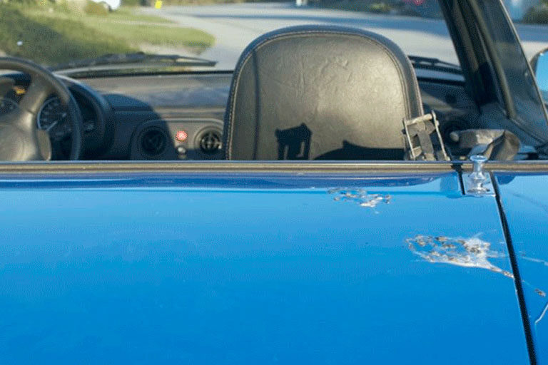 Protect Your Paint From Bird Droppings Protect Your Paint From Bird Droppings