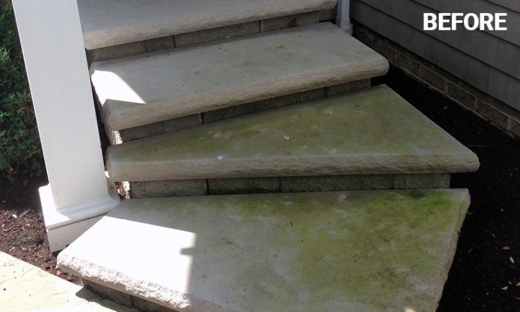 Stone Steps in Need of Cleaning