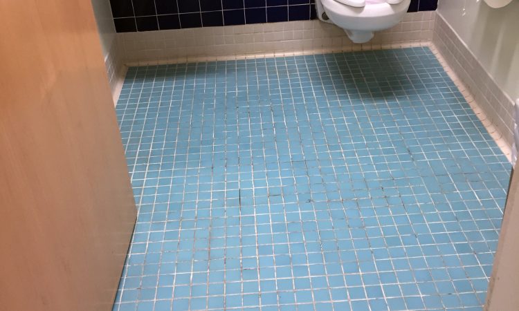 Tile and Grout Cleaning Before