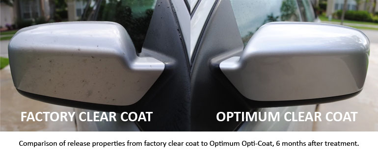 Factory Clear Coat vs Optimum Clear Coat, comparison 6 onths after treatment - factory clear coat has dirt and bugs, optimum clear coat is clean and pristine.